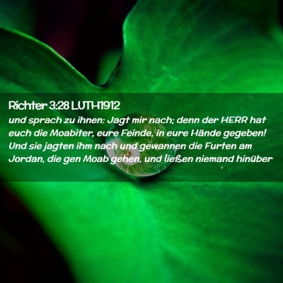 Picture 02 - Richter 3:28 LUTH1912 - und sprach zu ihnen: Jagt mir nach; denn der HERR - Bible Verse Picture
