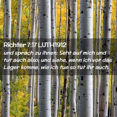 Picture 02 - Richter 7:17 LUTH1912 - und sprach zu ihnen: Seht auf mich und tut auch - Bible Verse Picture