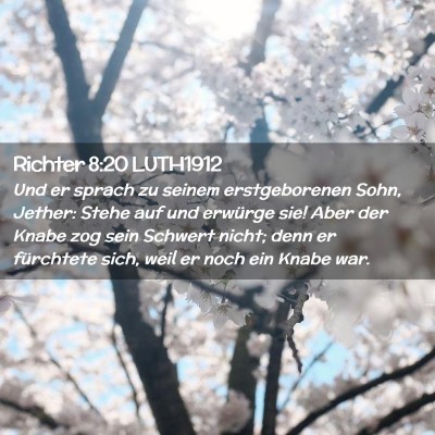 Picture 02 - Richter 8:20 LUTH1912 - Und er sprach zu seinem erstgeborenen Sohn, - Bible Verse Picture