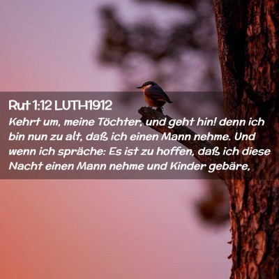 Picture 02 - Rut 1:12 LUTH1912 - Kehrt um, meine Töchter, und geht hin! denn ich - Bible Verse Picture