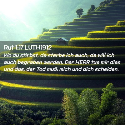 Picture 02 - Rut 1:17 LUTH1912 - Wo du stirbst, da sterbe ich auch, da will ich - Bible Verse Picture