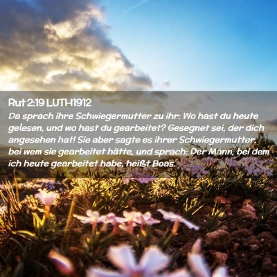 Picture 02 - Rut 2:19 LUTH1912 - Da sprach ihre Schwiegermutter zu ihr: Wo hast du - Bible Verse Picture