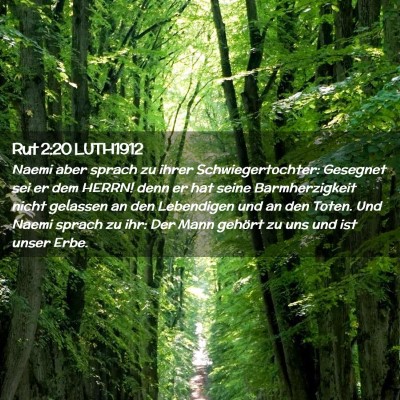 Picture 02 - Rut 2:20 LUTH1912 - Naemi aber sprach zu ihrer Schwiegertochter: - Bible Verse Picture