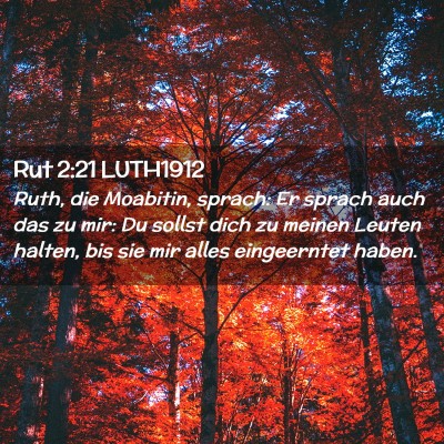 Picture 02 - Rut 2:21 LUTH1912 - Ruth, die Moabitin, sprach: Er sprach auch das zu - Bible Verse Picture