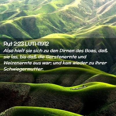 Picture 02 - Rut 2:23 LUTH1912 - Also hielt sie sich zu den Dirnen des Boas, daß - Bible Verse Picture