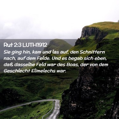 Picture 02 - Rut 2:3 LUTH1912 - Sie ging hin, kam und las auf, den Schnittern - Bible Verse Picture