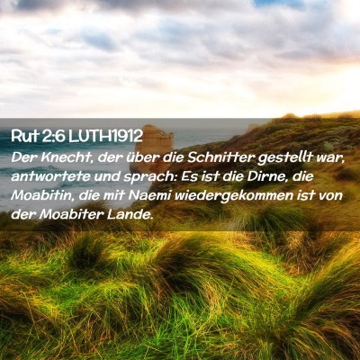 Picture 02 - Rut 2:6 LUTH1912 - Der Knecht, der über die Schnitter gestellt war, - Bible Verse Picture