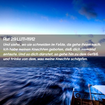 Picture 02 - Rut 2:9 LUTH1912 - Und siehe, wo sie schneiden im Felde, da gehe - Bible Verse Picture