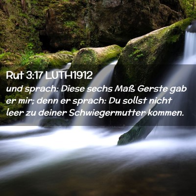 Picture 02 - Rut 3:17 LUTH1912 - und sprach: Diese sechs Maß Gerste gab er mir; - Bible Verse Picture