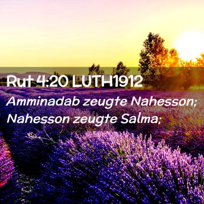 Picture 02 - Rut 4:20 LUTH1912 - Amminadab zeugte Nahesson; Nahesson zeugte - Bible Verse Picture
