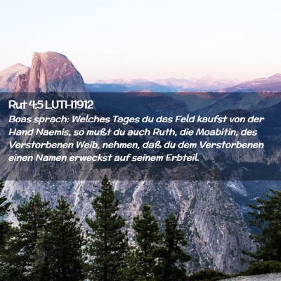 Picture 02 - Rut 4:5 LUTH1912 - Boas sprach: Welches Tages du das Feld kaufst von - Bible Verse Picture