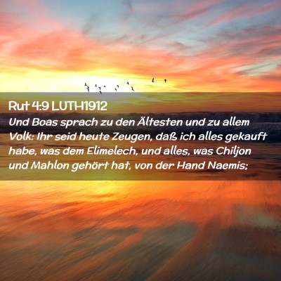 Picture 02 - Rut 4:9 LUTH1912 - Und Boas sprach zu den Ältesten und zu allem - Bible Verse Picture