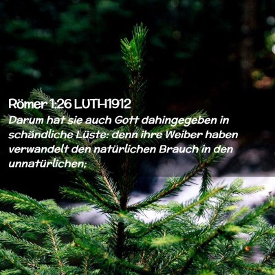Picture 02 - Römer 1:26 LUTH1912 - Darum hat sie auch Gott dahingegeben in - Bible Verse Picture