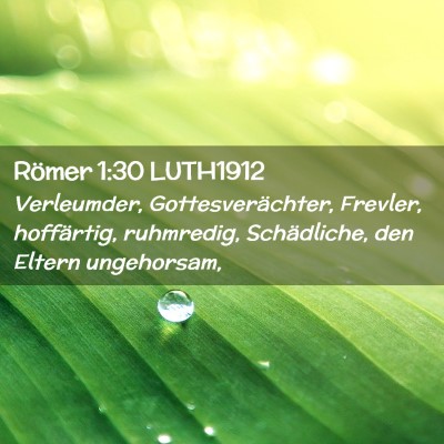 Picture 02 - Römer 1:30 LUTH1912 - Verleumder, Gottesverächter, Frevler, - Bible Verse Picture