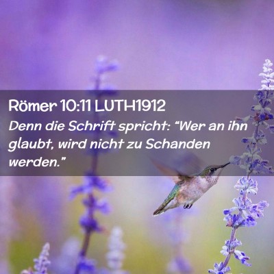 Picture 02 - Römer 10:11 LUTH1912 - Denn die Schrift spricht: “Wer an ihn glaubt, - Bible Verse Picture