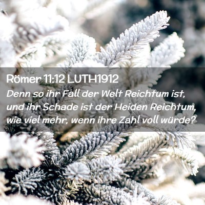 Picture 02 - Römer 11:12 LUTH1912 - Denn so ihr Fall der Welt Reichtum ist, und ihr - Bible Verse Picture