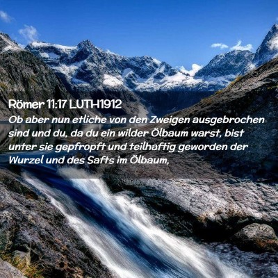 Picture 02 - Römer 11:17 LUTH1912 - Ob aber nun etliche von den Zweigen ausgebrochen - Bible Verse Picture
