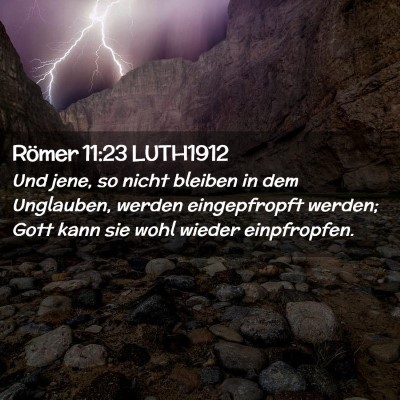 Picture 02 - Römer 11:23 LUTH1912 - Und jene, so nicht bleiben in dem Unglauben, - Bible Verse Picture