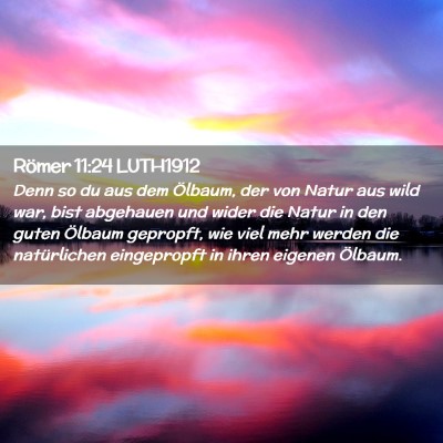 Picture 02 - Römer 11:24 LUTH1912 - Denn so du aus dem Ölbaum, der von Natur aus - Bible Verse Picture