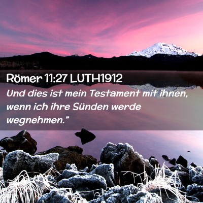 Picture 02 - Römer 11:27 LUTH1912 - Und dies ist mein Testament mit ihnen, wenn ich - Bible Verse Picture