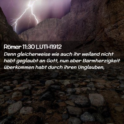 Picture 02 - Römer 11:30 LUTH1912 - Denn gleicherweise wie auch ihr weiland nicht - Bible Verse Picture