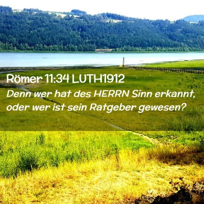 Picture 02 - Römer 11:34 LUTH1912 - Denn wer hat des HERRN Sinn erkannt, oder wer ist - Bible Verse Picture