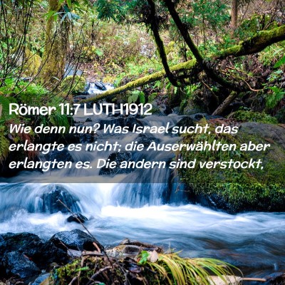 Picture 02 - Römer 11:7 LUTH1912 - Wie denn nun? Was Israel sucht, das erlangte es - Bible Verse Picture