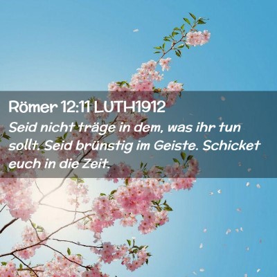 Picture 02 - Römer 12:11 LUTH1912 - Seid nicht träge in dem, was ihr tun sollt. Seid - Bible Verse Picture