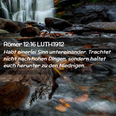 Picture 02 - Römer 12:16 LUTH1912 - Habt einerlei Sinn untereinander. Trachtet nicht - Bible Verse Picture