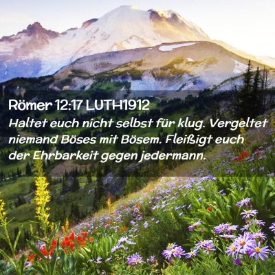 Picture 02 - Römer 12:17 LUTH1912 - Haltet euch nicht selbst für klug. Vergeltet - Bible Verse Picture