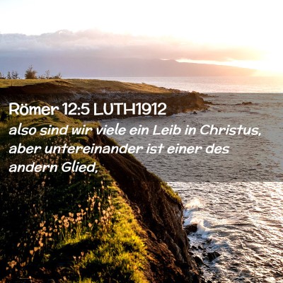Picture 02 - Römer 12:5 LUTH1912 - also sind wir viele ein Leib in Christus, aber - Bible Verse Picture