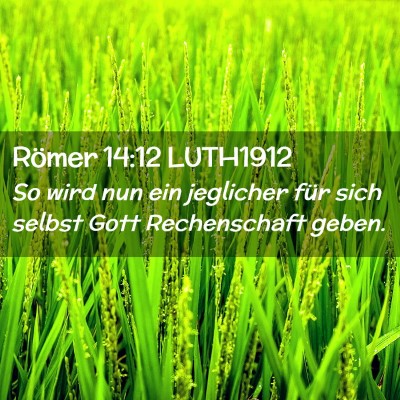 Picture 02 - Römer 14:12 LUTH1912 - So wird nun ein jeglicher für sich selbst Gott - Bible Verse Picture