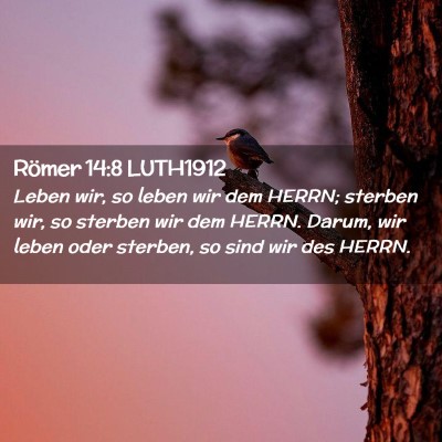 Picture 02 - Römer 14:8 LUTH1912 - Leben wir, so leben wir dem HERRN; sterben wir, - Bible Verse Picture