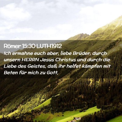 Picture 02 - Römer 15:30 LUTH1912 - Ich ermahne euch aber, liebe Brüder, durch - Bible Verse Picture