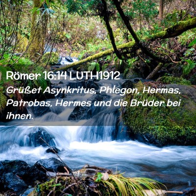 Picture 02 - Römer 16:14 LUTH1912 - Grüßet Asynkritus, Phlegon, Hermas, Patrobas, - Bible Verse Picture