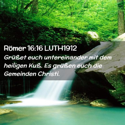 Picture 02 - Römer 16:16 LUTH1912 - Grüßet euch untereinander mit dem heiligen - Bible Verse Picture