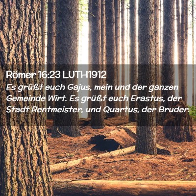 Picture 02 - Römer 16:23 LUTH1912 - Es grüßt euch Gajus, mein und der ganzen - Bible Verse Picture