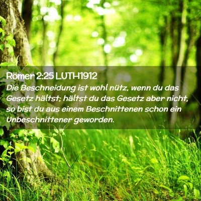Picture 02 - Römer 2:25 LUTH1912 - Die Beschneidung ist wohl nütz, wenn du das - Bible Verse Picture