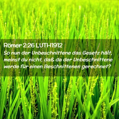 Picture 02 - Römer 2:26 LUTH1912 - So nun der Unbeschnittene das Gesetz hält, - Bible Verse Picture