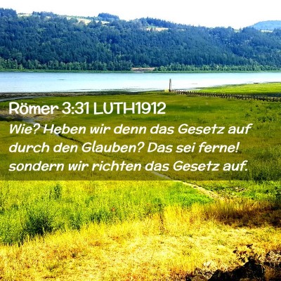 Picture 02 - Römer 3:31 LUTH1912 - Wie? Heben wir denn das Gesetz auf durch den - Bible Verse Picture