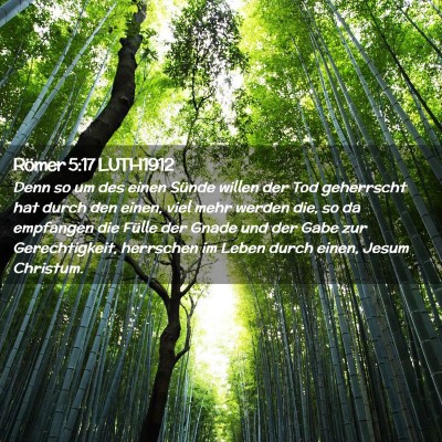 Picture 02 - Römer 5:17 LUTH1912 - Denn so um des einen Sünde willen der Tod - Bible Verse Picture