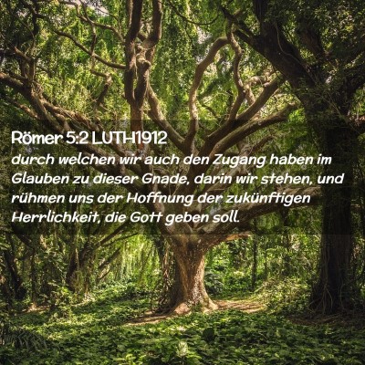 Picture 02 - Römer 5:2 LUTH1912 - durch welchen wir auch den Zugang haben im - Bible Verse Picture