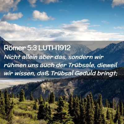 Picture 02 - Römer 5:3 LUTH1912 - Nicht allein aber das, sondern wir rühmen uns - Bible Verse Picture