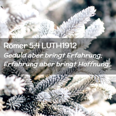 Picture 02 - Römer 5:4 LUTH1912 - Geduld aber bringt Erfahrung; Erfahrung aber - Bible Verse Picture