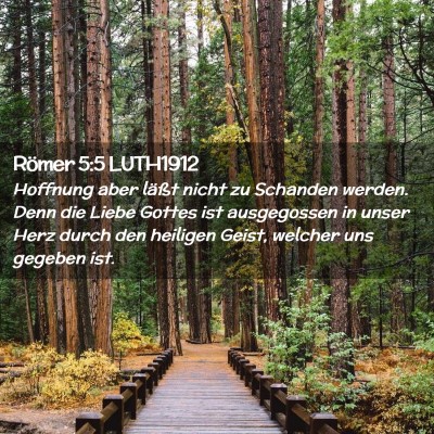 Picture 02 - Römer 5:5 LUTH1912 - Hoffnung aber läßt nicht zu Schanden werden. - Bible Verse Picture