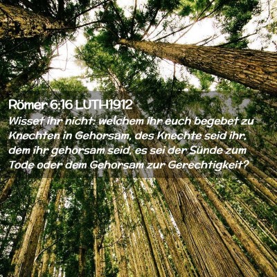 Picture 02 - Römer 6:16 LUTH1912 - Wisset ihr nicht: welchem ihr euch begebet zu - Bible Verse Picture