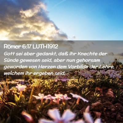Picture 02 - Römer 6:17 LUTH1912 - Gott sei aber gedankt, daß ihr Knechte der - Bible Verse Picture