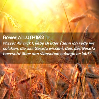 Picture 02 - Römer 7:1 LUTH1912 - Wisset ihr nicht, liebe Brüder (denn ich rede - Bible Verse Picture