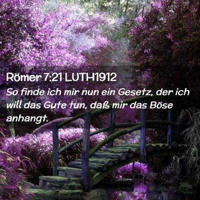 Picture 02 - Römer 7:21 LUTH1912 - So finde ich mir nun ein Gesetz, der ich will das - Bible Verse Picture
