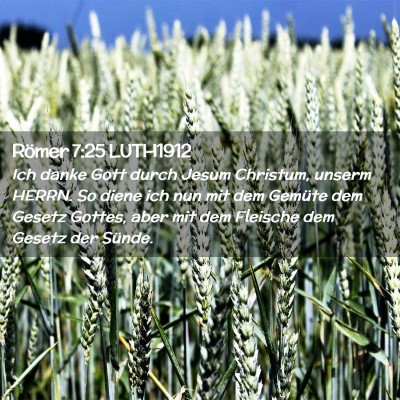 Picture 02 - Römer 7:25 LUTH1912 - Ich danke Gott durch Jesum Christum, unserm - Bible Verse Picture
